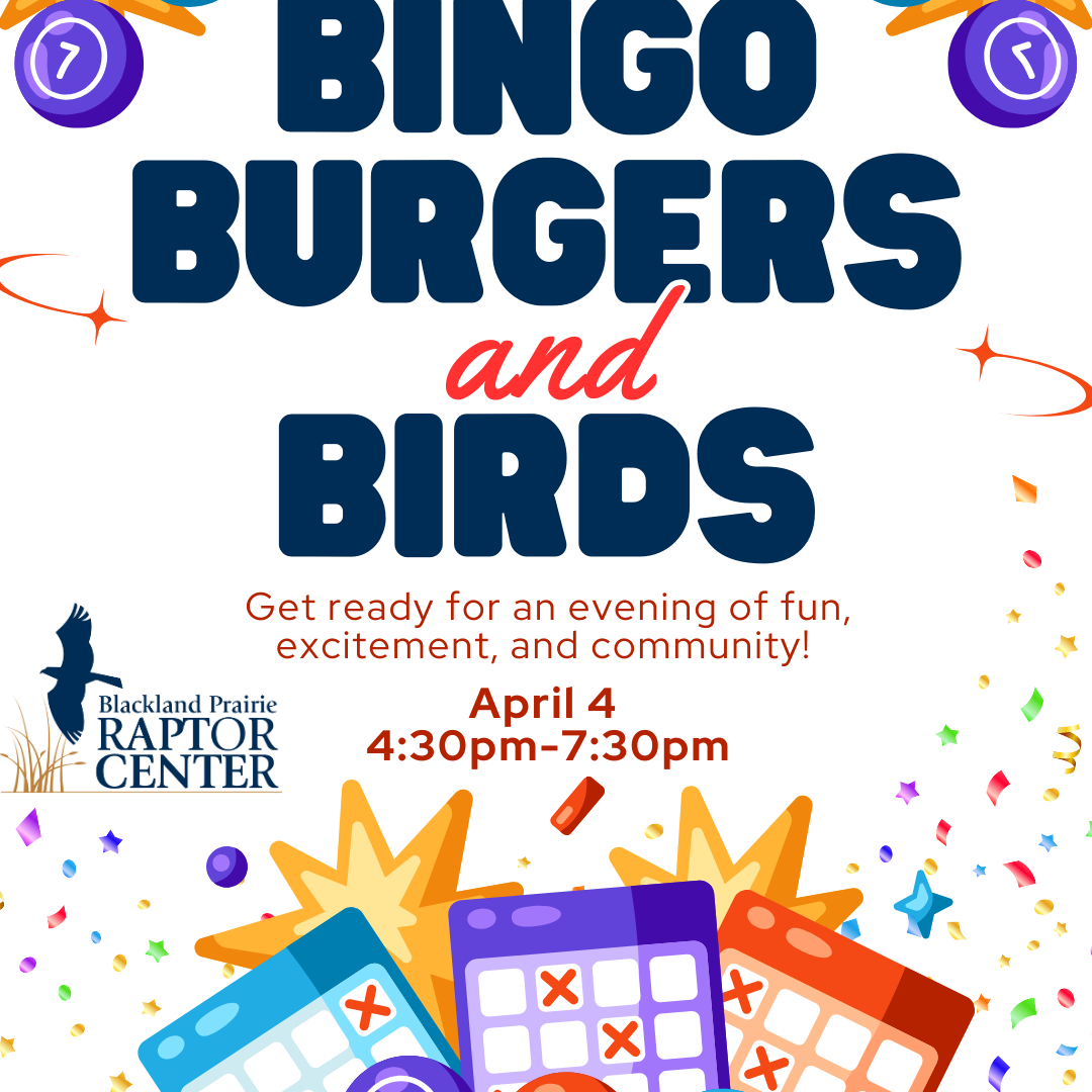 Bingo, Burgers, and Birds - April - logo
